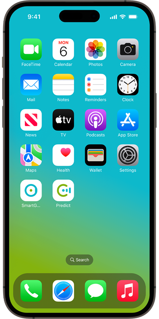 iPhone